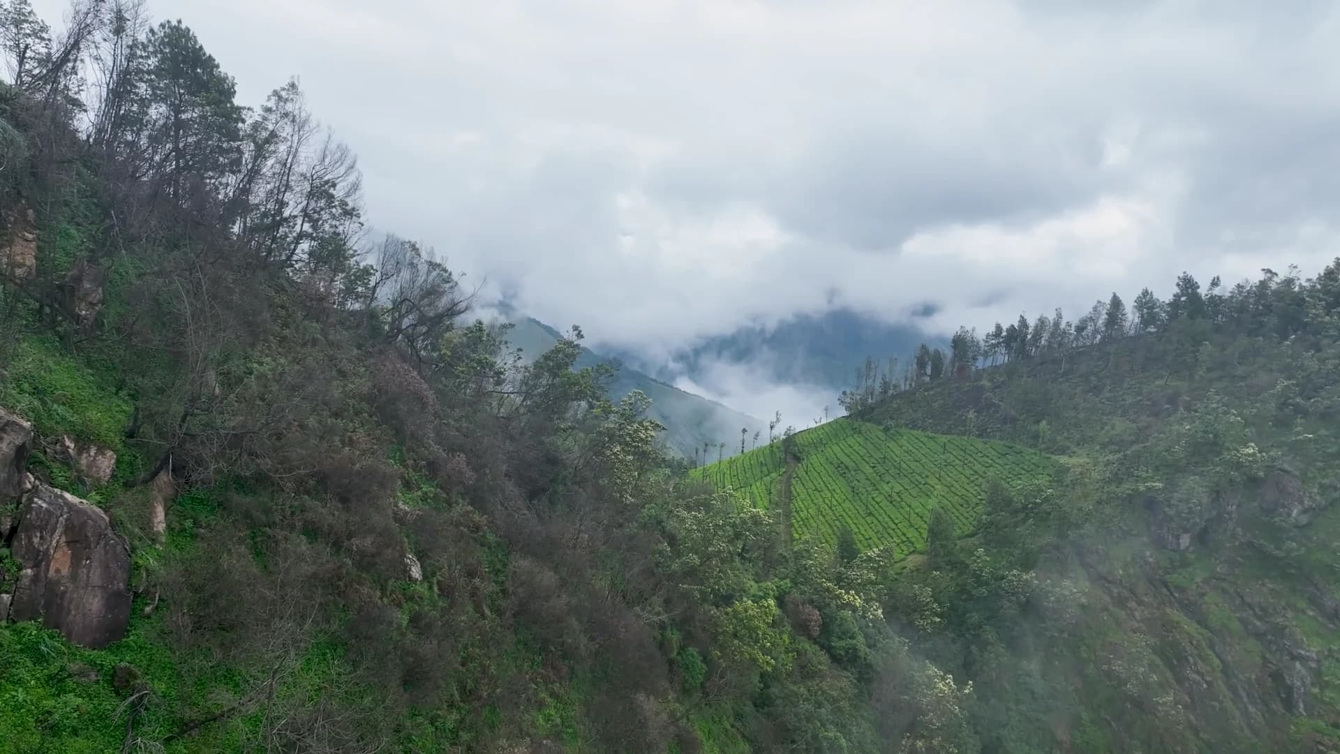 Scenic drone footage: Kerala, Kashmir, Dubai, Nepal & Sikkim aerial drone showreel